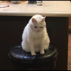 Meet your Posher, Tanya